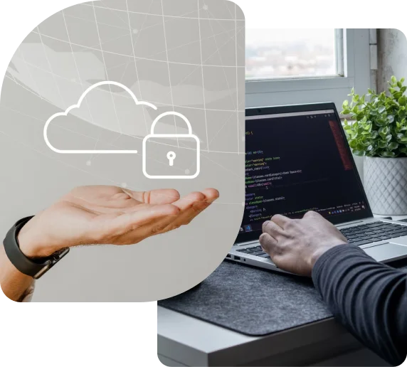 Cybersecurity and Cloud-native Value-Added Distributor
