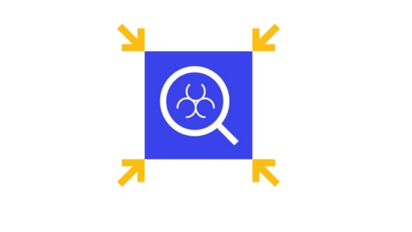 Dynamic Application Security Testing