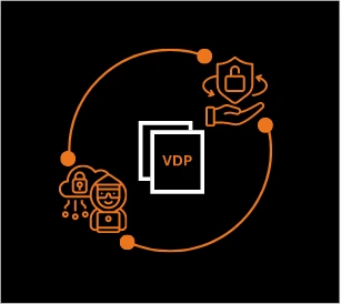 Vulnerability Disclosure Program